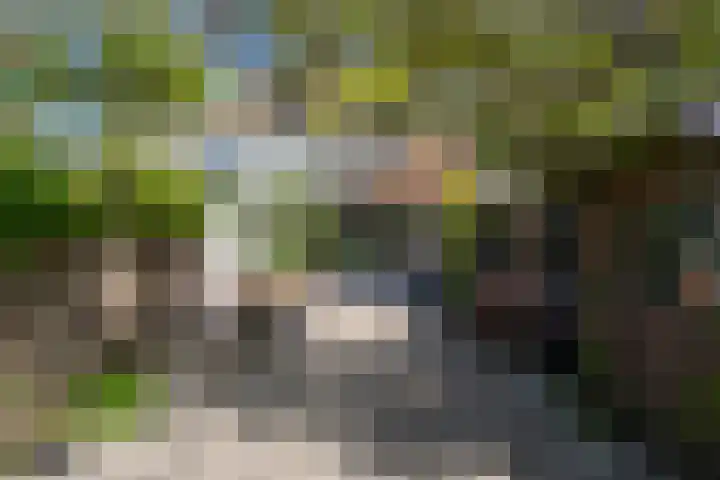 Nieuwe Hoven 93 Gorinchem thumbnail 17