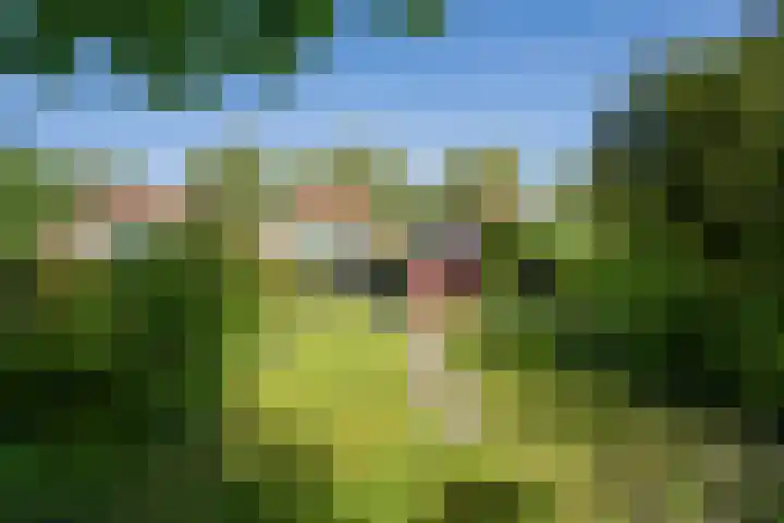 Nieuwe Hoven 93 Gorinchem thumbnail 19