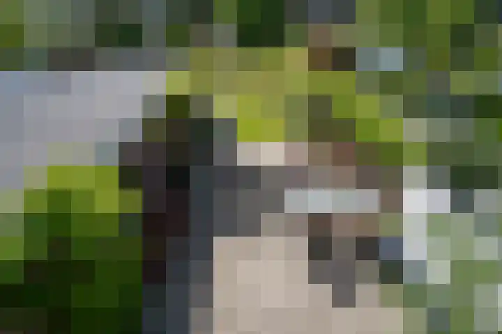 Nieuwe Hoven 93 Gorinchem thumbnail 20