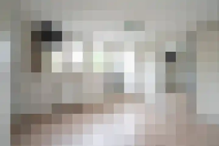 Nieuwe Hoven 93 Gorinchem thumbnail 22