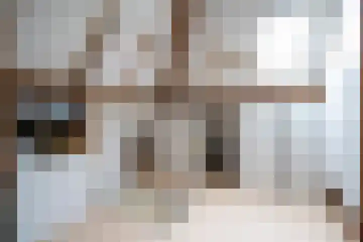 Nieuwe Hoven 93 Gorinchem thumbnail 32