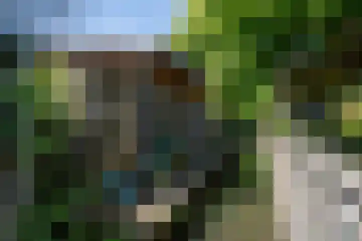 Nieuwe Hoven 93 Gorinchem thumbnail 35