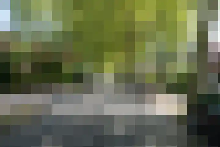 Nieuwe Hoven 93 Gorinchem thumbnail 36