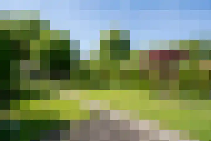 Nieuwe Hoven 93 Gorinchem thumbnail 4