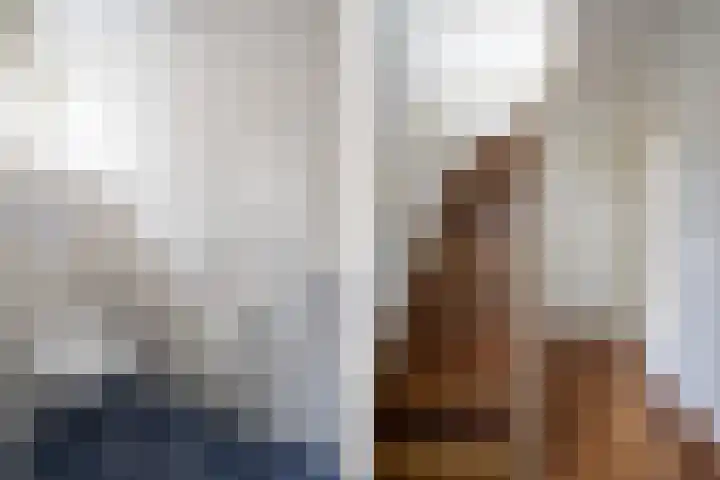 Nieuwe Hoven 93 Gorinchem thumbnail 6