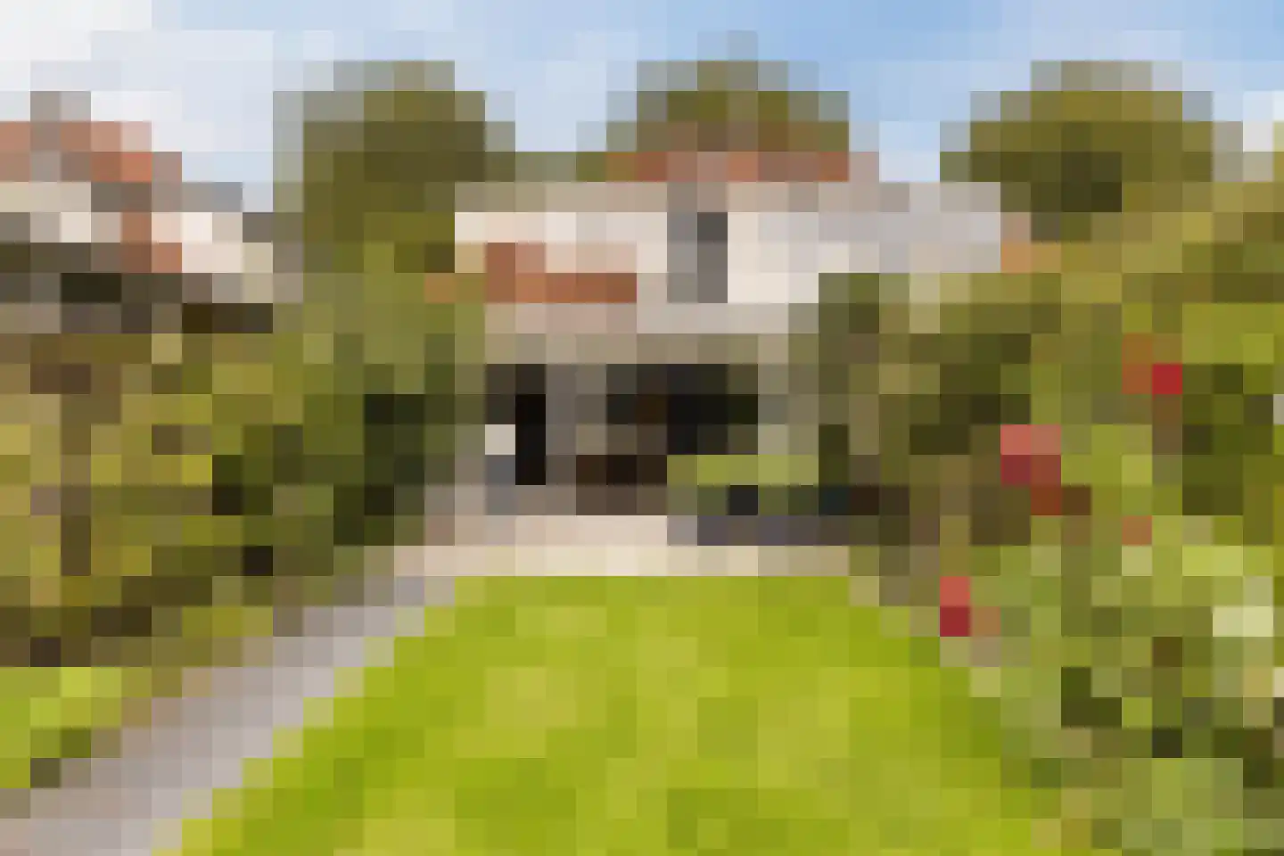 Nieuwe Hoven 95 Gorinchem thumbnail 10