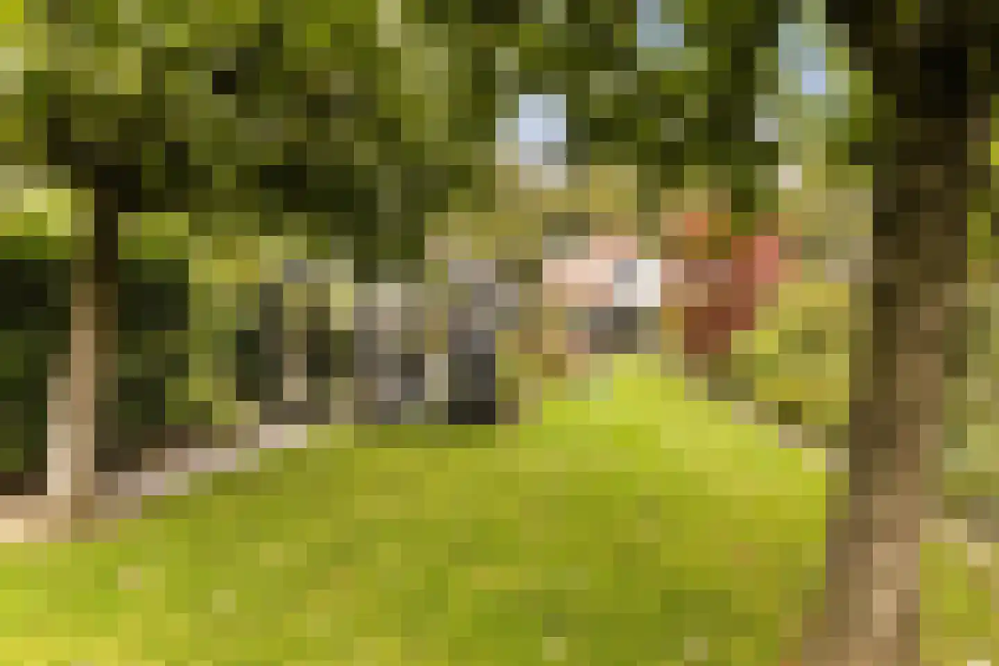 Nieuwe Hoven 95 Gorinchem thumbnail 11