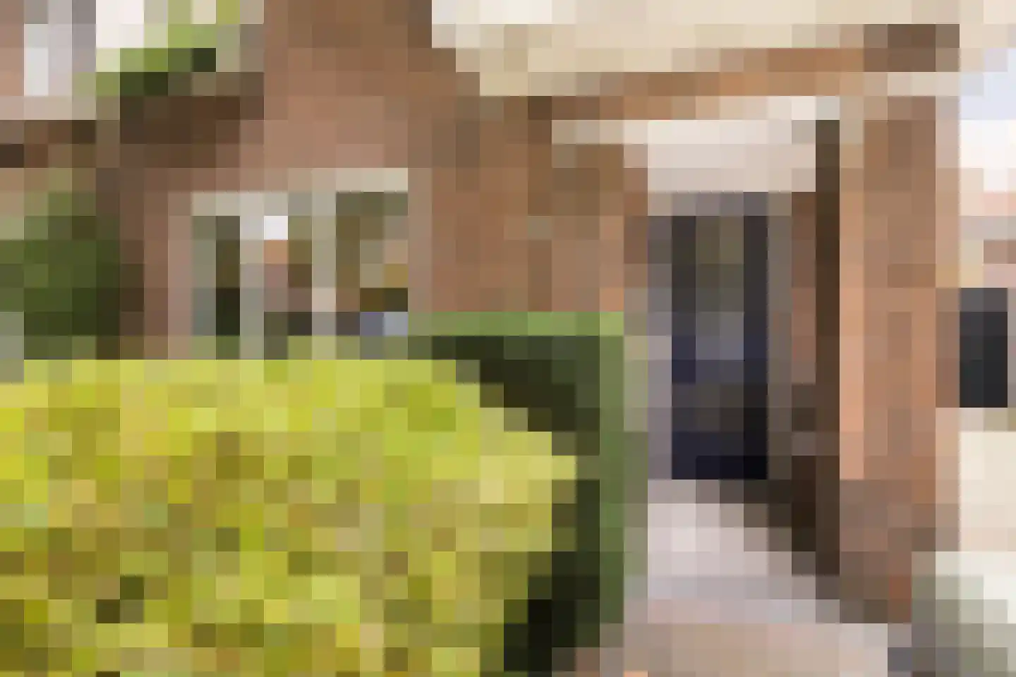 Nieuwe Hoven 95 Gorinchem thumbnail 12