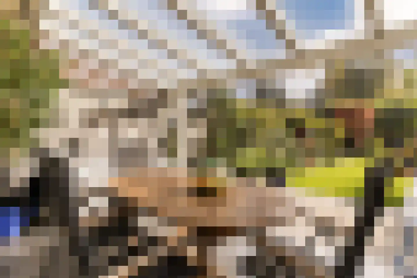 Nieuwe Hoven 95 Gorinchem thumbnail 18