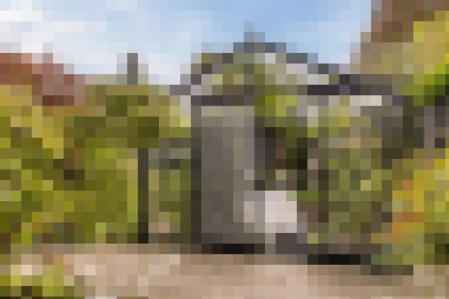 Nieuwe Hoven 95 Gorinchem thumbnail 20