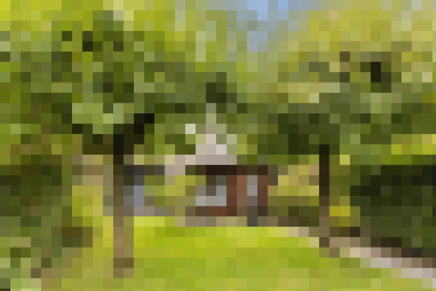 Nieuwe Hoven 95 Gorinchem thumbnail 21