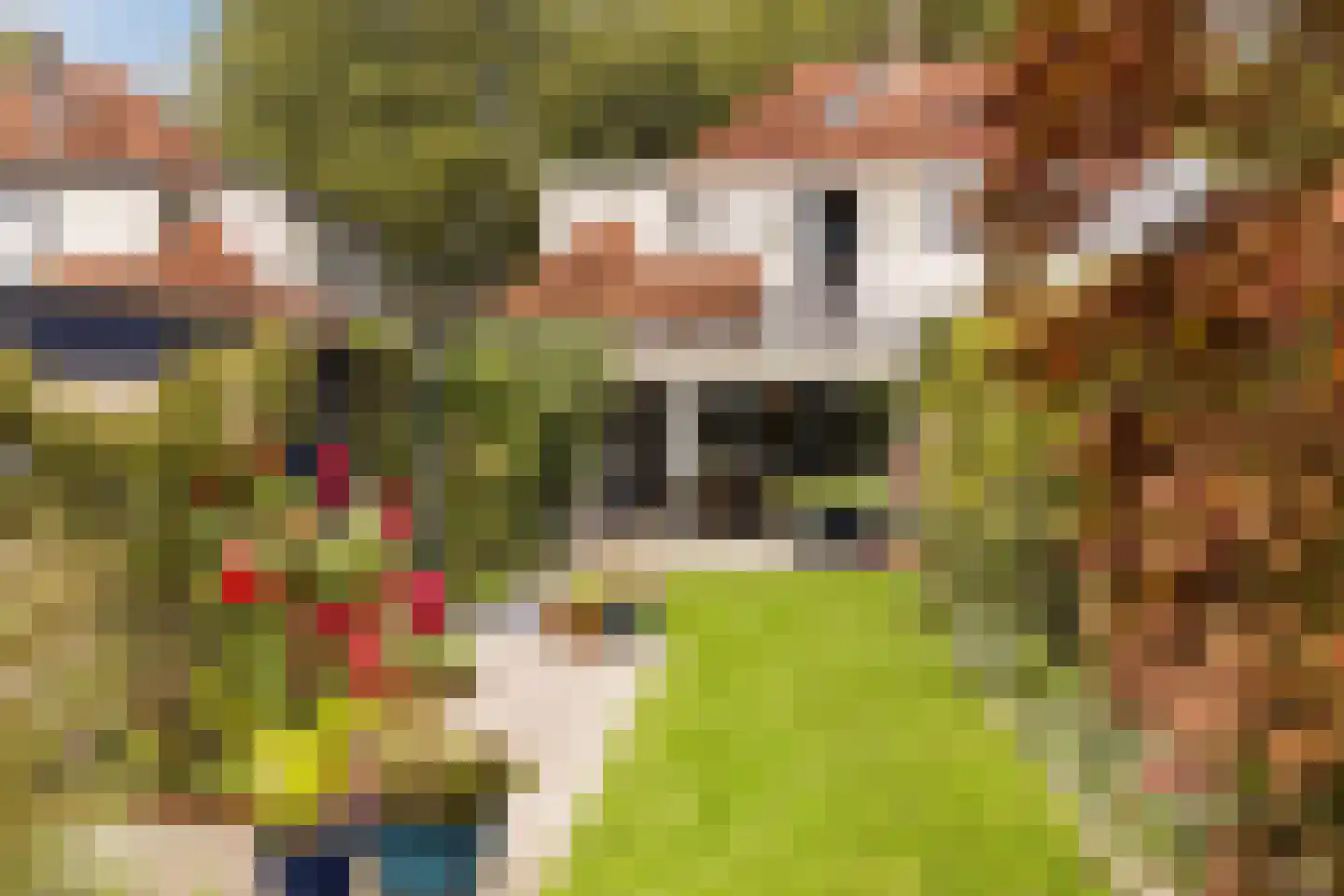 Nieuwe Hoven 95 Gorinchem thumbnail 22
