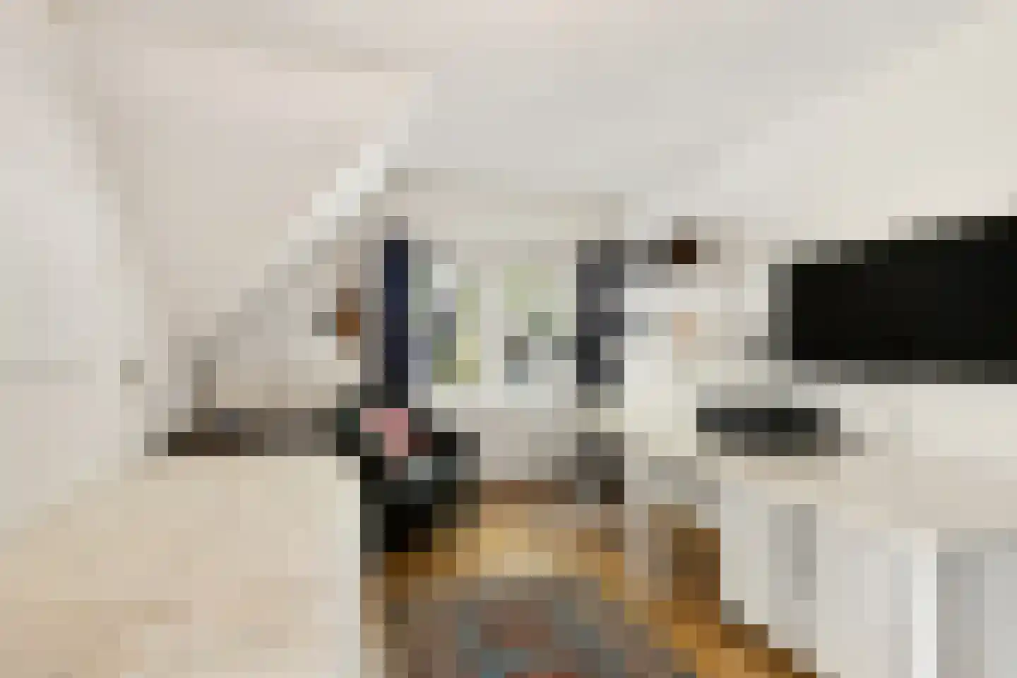 Nieuwe Hoven 95 Gorinchem thumbnail 7