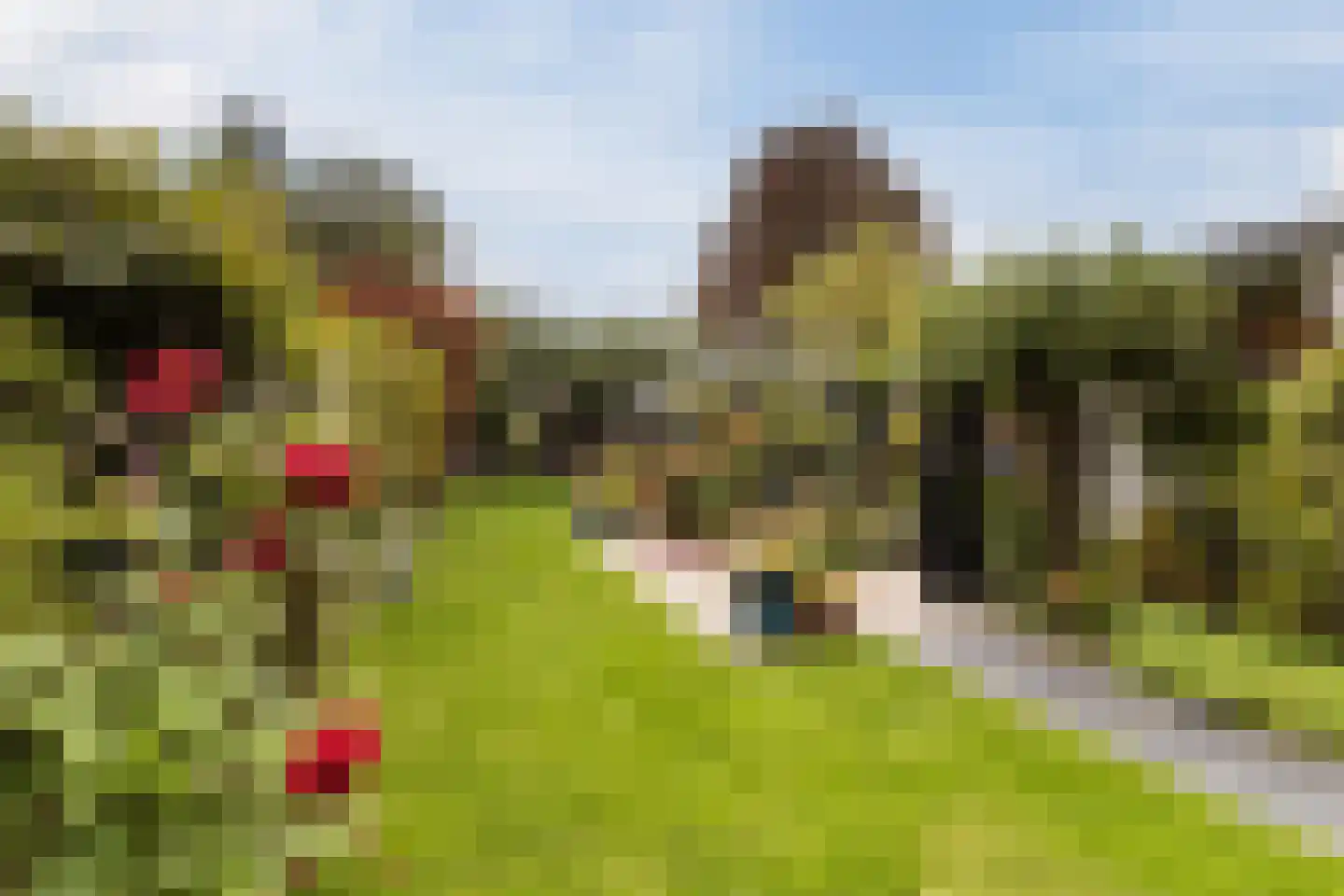 Nieuwe Hoven 95 Gorinchem thumbnail 9