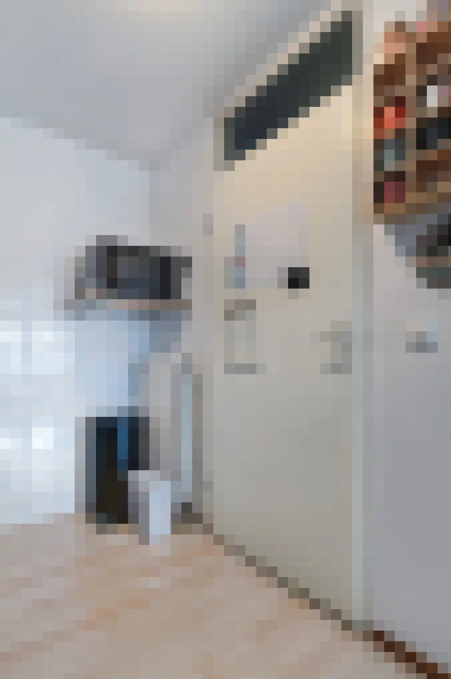 Nieuwe Huizen 13 Breda thumbnail 26