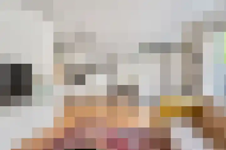 Nieuwe Huizen 9 Breda thumbnail 12