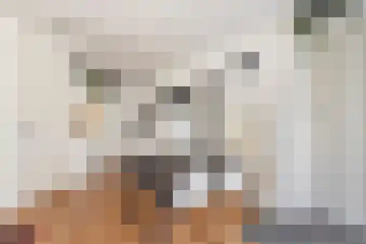 Nieuwe Huizen 9 Breda thumbnail 13