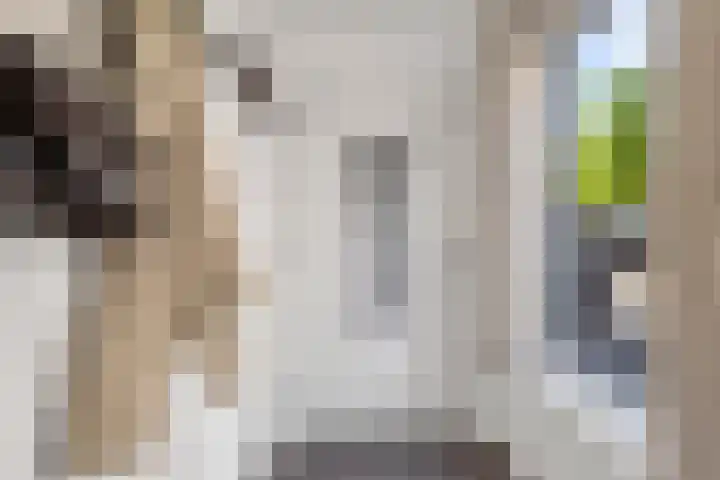 Nieuwe Huizen 9 Breda thumbnail 7