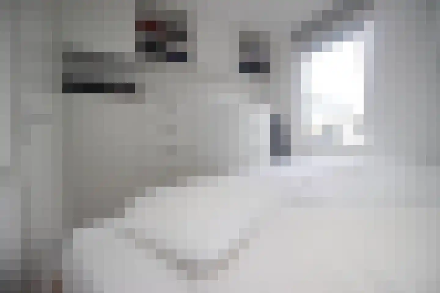 Nieuwe Huizen 9 D Breda thumbnail 15