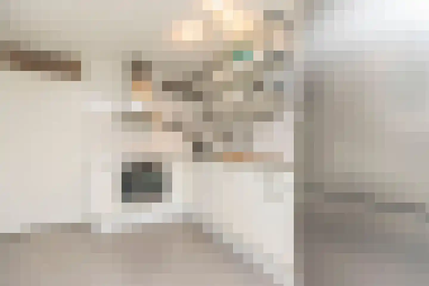 Nieuwe Huizen 9 D Breda thumbnail 30
