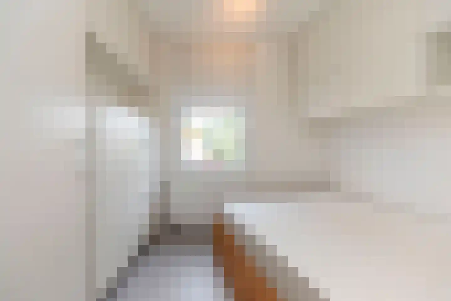 Nieuwe Huizen 9 D Breda thumbnail 37
