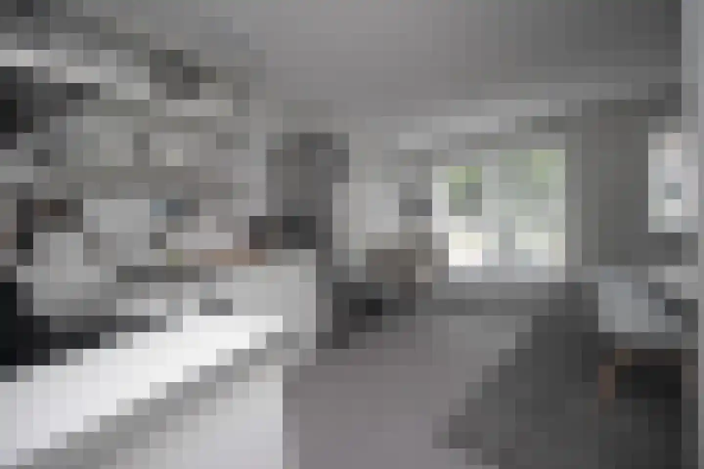 Nieuwe Huizen 9 D Breda thumbnail 4