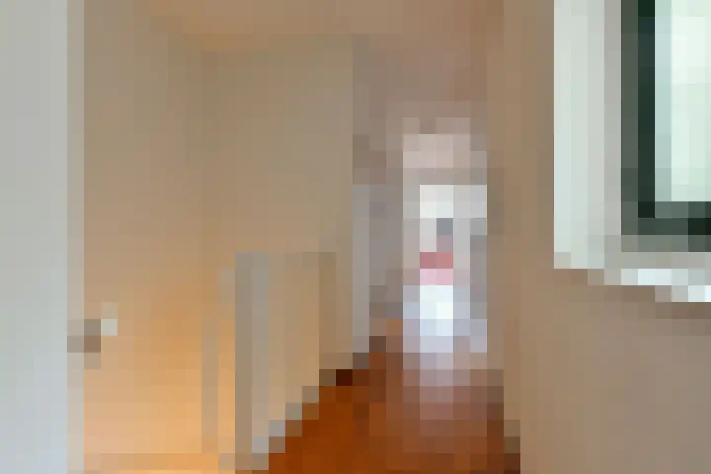 Nieuwe Jonkerstraat 16 Amsterdam thumbnail 14
