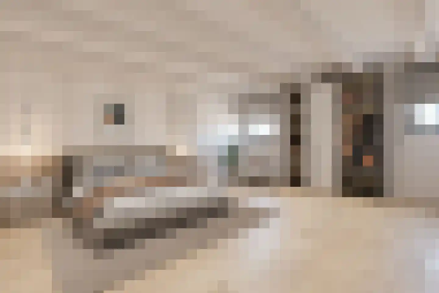Nieuwe Jonkerstraat 16 Amsterdam thumbnail 20