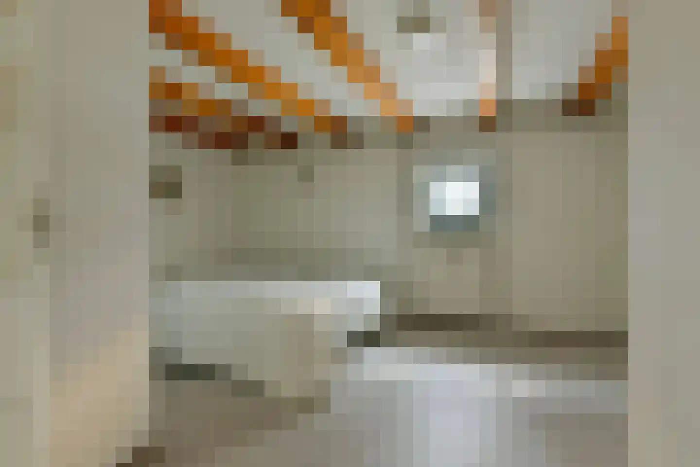 Nieuwe Jonkerstraat 16 Amsterdam thumbnail 23