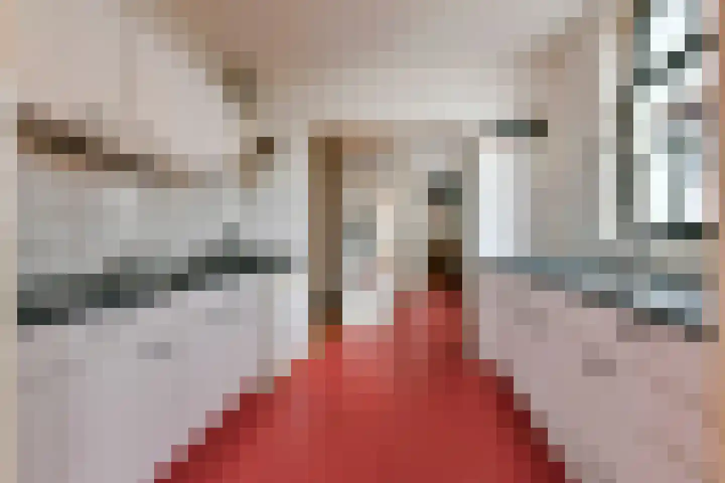 Nieuwe Jonkerstraat 16 Amsterdam thumbnail 7