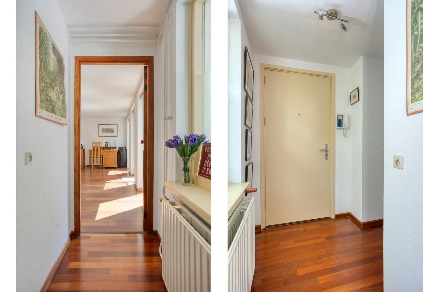 Nieuwe Jonkerstraat 18 Amsterdam thumbnail 13