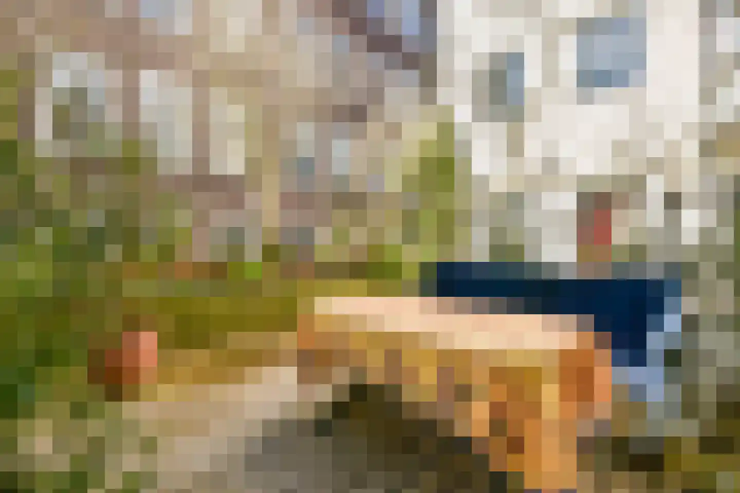 Nieuwe Jonkerstraat 18 Amsterdam thumbnail 6