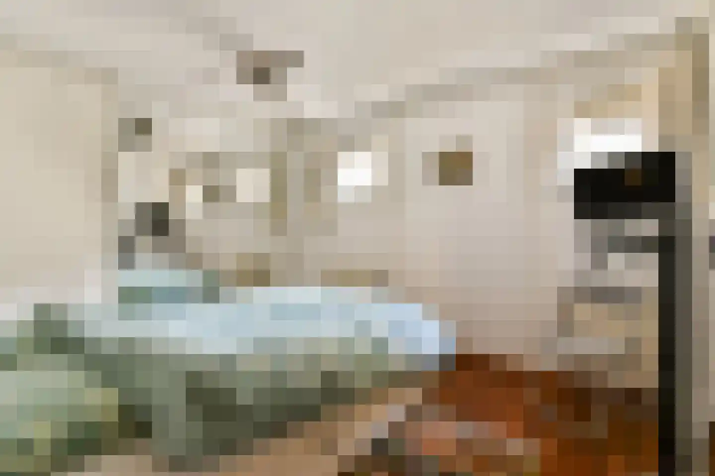 Nieuwe Jonkerstraat 18 Amsterdam thumbnail 8