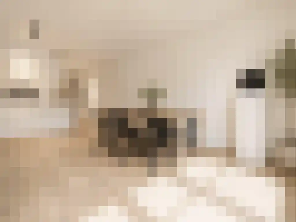 Nieuwe Jonkerstraat 4 Amsterdam thumbnail 4