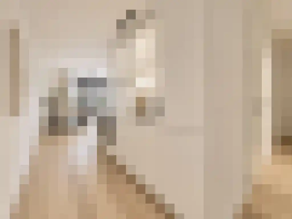 Nieuwe Jonkerstraat 4 Amsterdam thumbnail 5