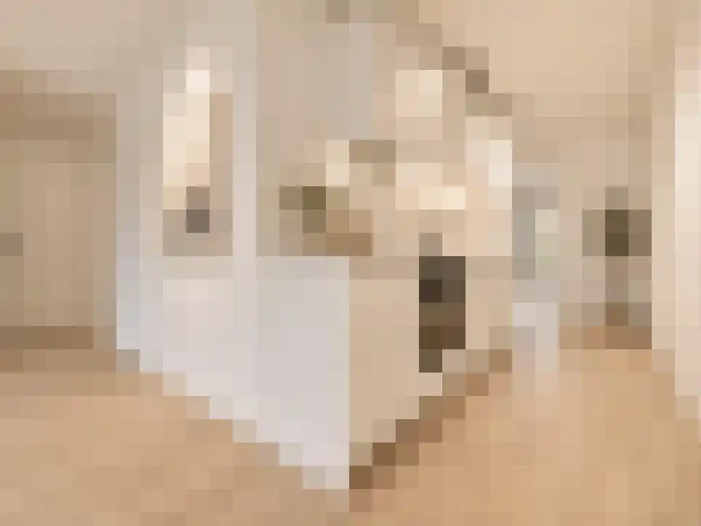 Nieuwe Jonkerstraat 4 Amsterdam thumbnail 6