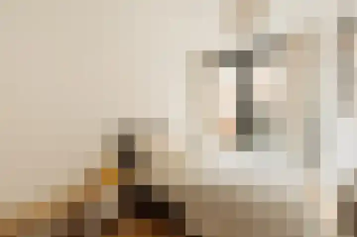 Nieuwe Jonkerstraat 4 C Amsterdam thumbnail 20