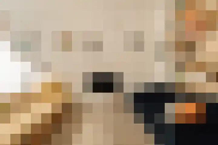 Nieuwe Jonkerstraat 4 C Amsterdam thumbnail 8