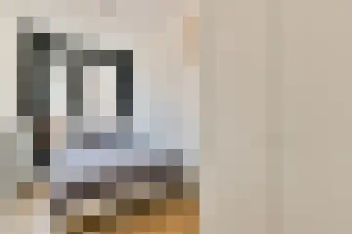 Nieuwe Jonkerstraat 4 G Amsterdam thumbnail 10