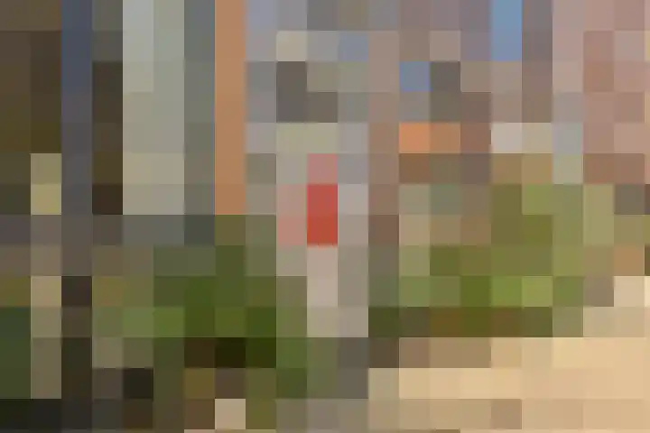 Nieuwe Jonkerstraat 4 G Amsterdam thumbnail 18