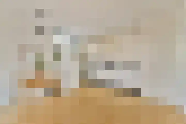 Nieuwe Jonkerstraat 4 G Amsterdam thumbnail 4