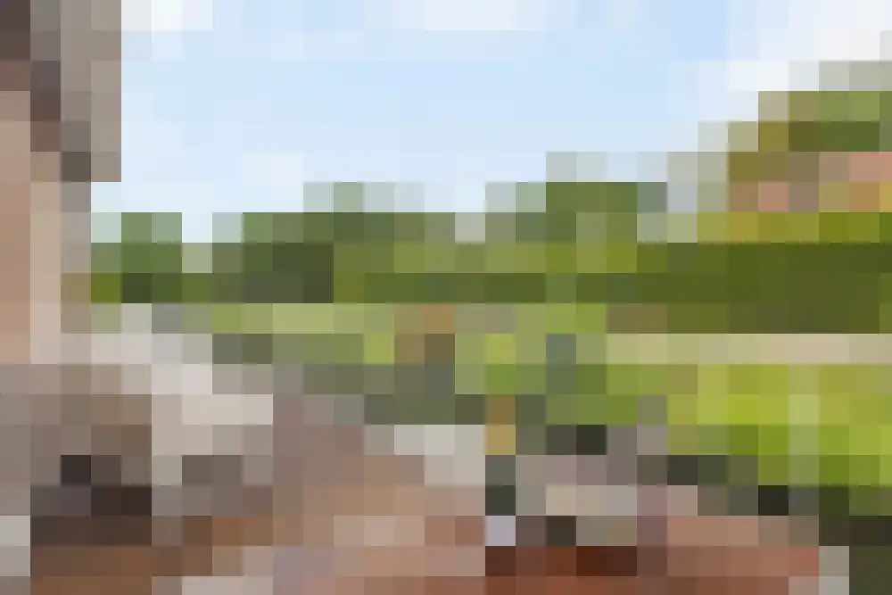 Nieuwe Kalfjeslaan 7 Amstelveen thumbnail 15