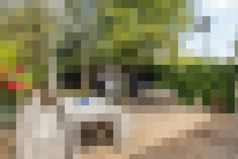 Nieuwe Kalfjeslaan 7 Amstelveen thumbnail 41