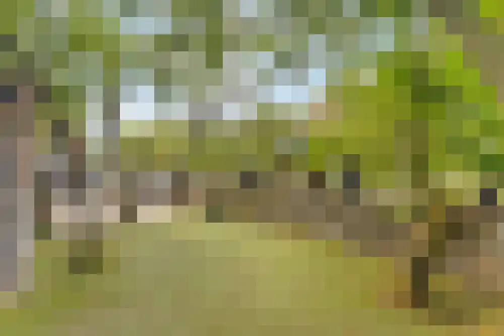 Nieuwe Kalfjeslaan 7 Amstelveen thumbnail 43