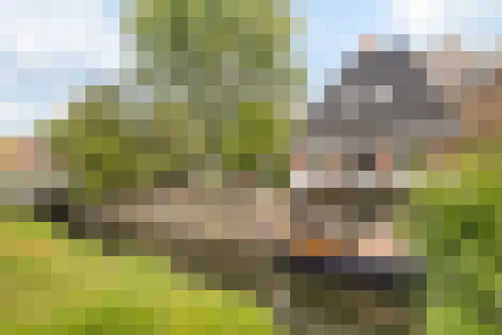 Nieuwe Kalfjeslaan 7 Amstelveen thumbnail 44