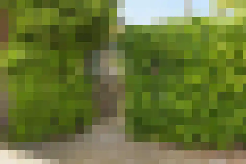 Nieuwe Kalfjeslaan 7 Amstelveen thumbnail 45