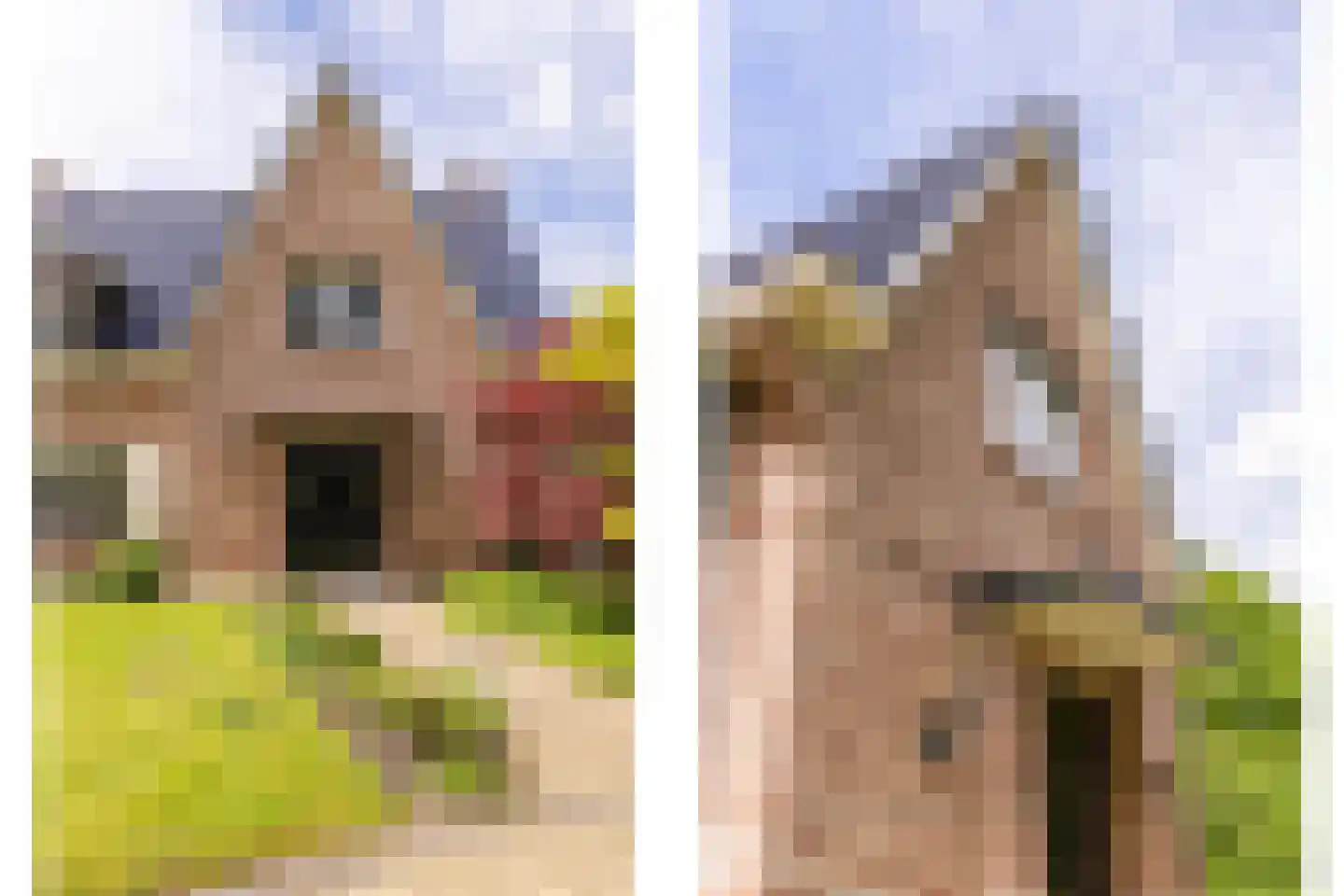 Nieuwe Kampsteeg 2 Glimmen thumbnail 10