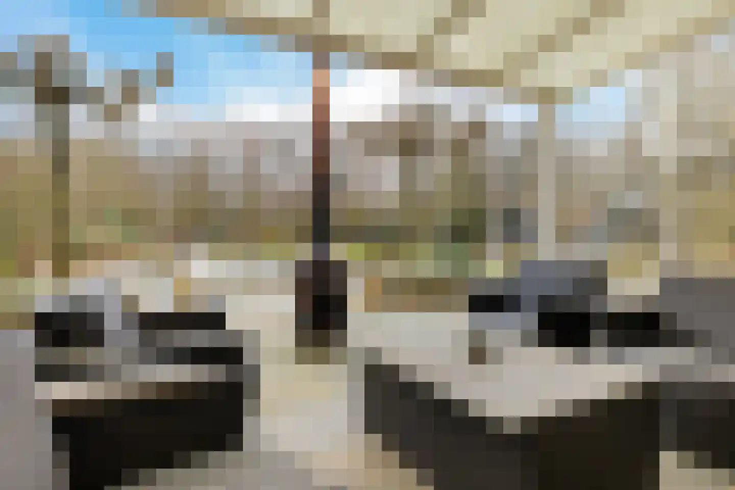 Nieuwe Kampsteeg 2 Glimmen foto 2