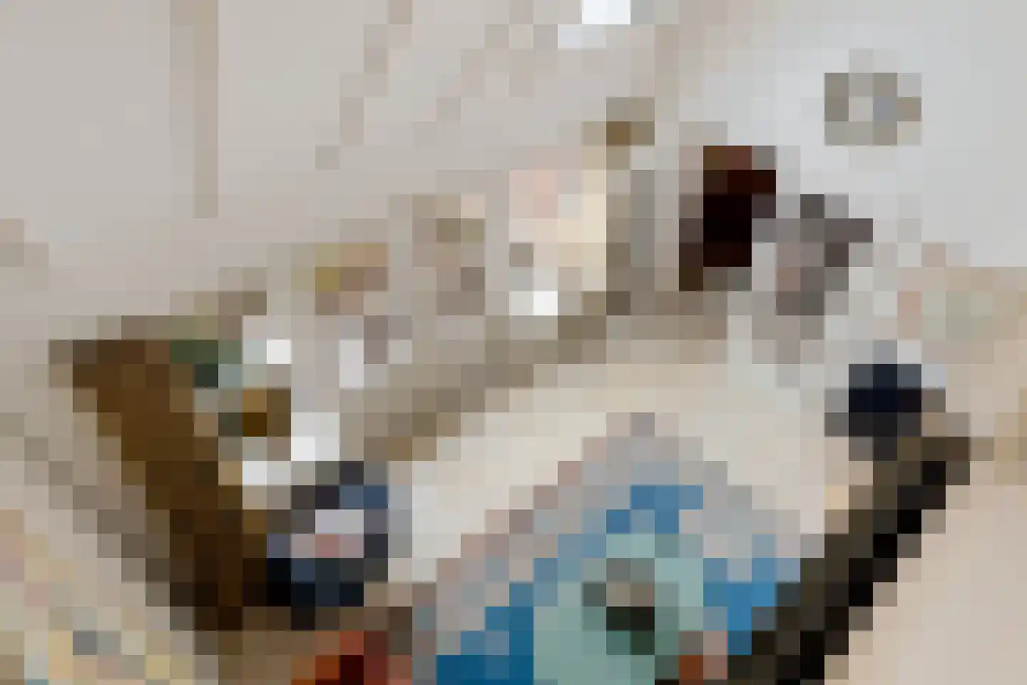 Nieuwe Kampsteeg 2 Glimmen thumbnail 20