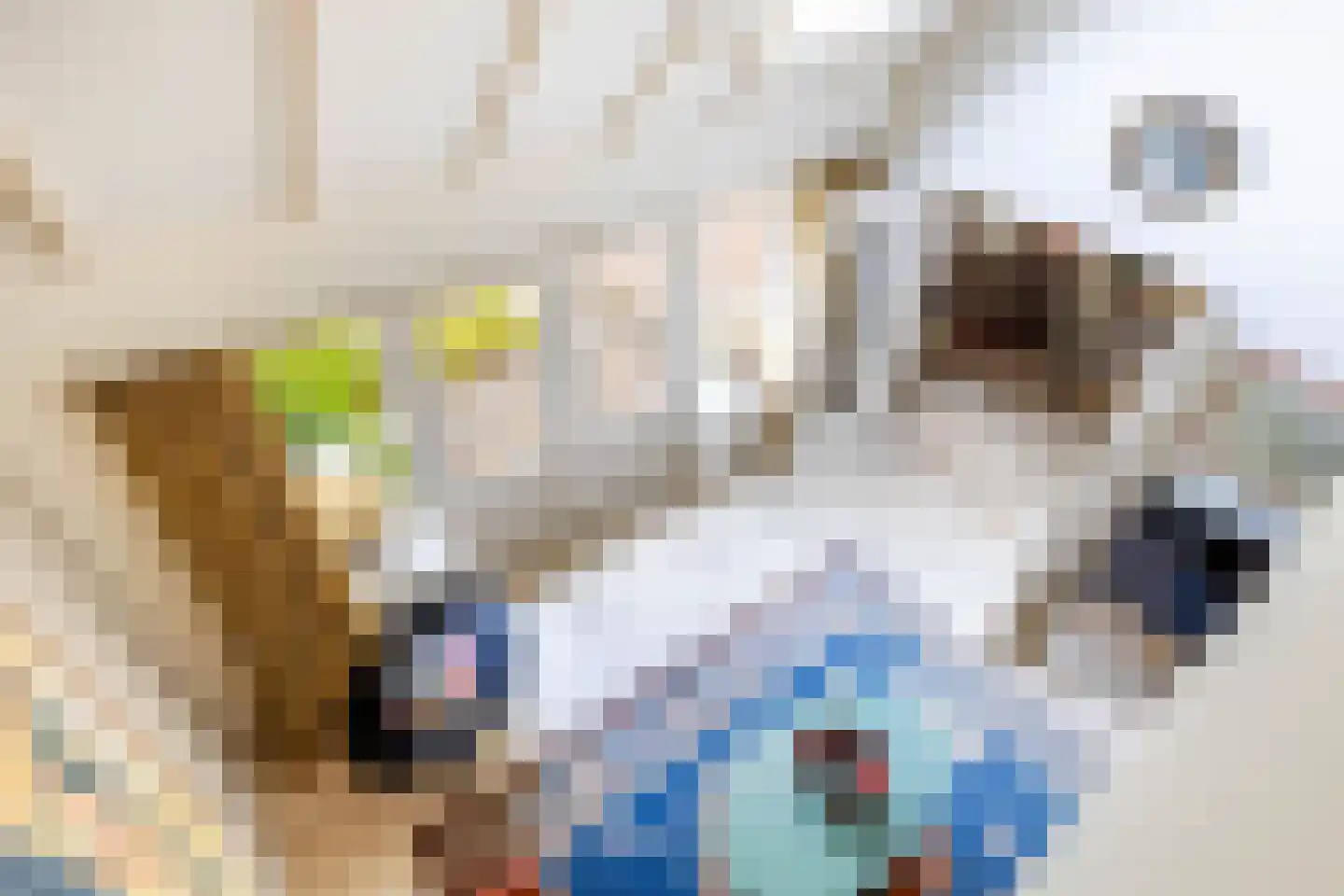 Nieuwe Kampsteeg 2 Glimmen thumbnail 20